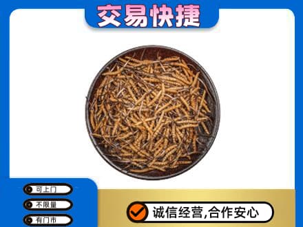 赤壁市回收散虫草